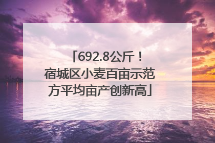 692.8公斤！宿城区小麦百亩示范方平均亩产创新高
